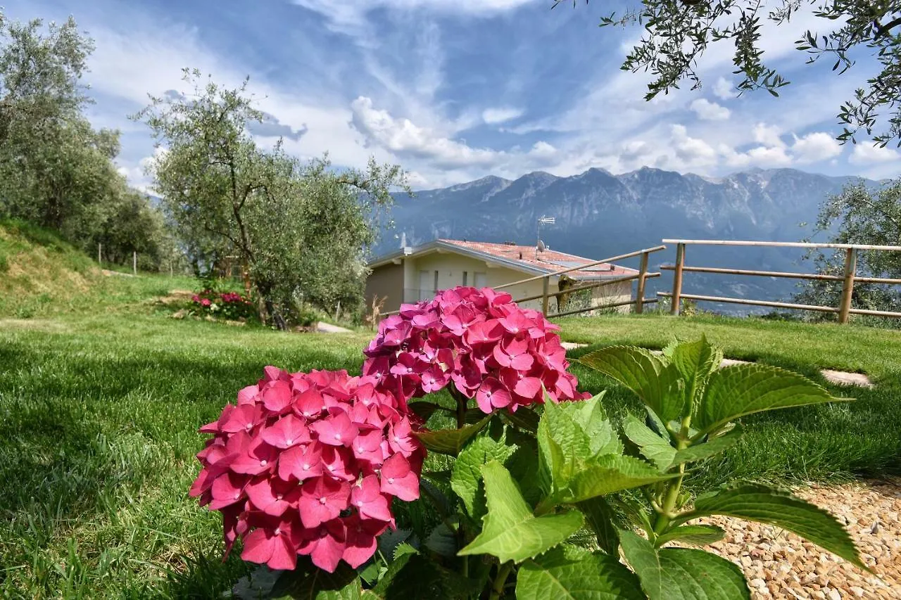 Casa Negli Ulivi Villa Tremosine